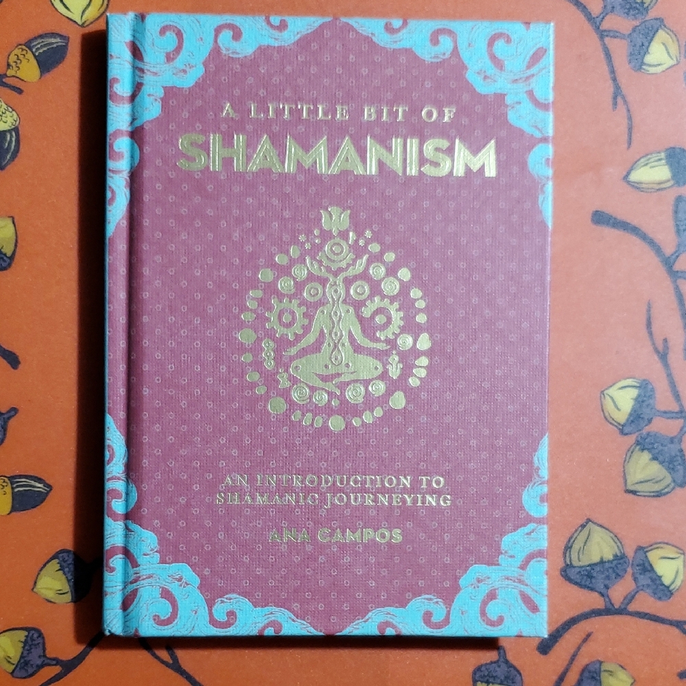 A Little Bit of Shamanism Book Ana Campos